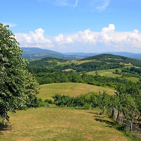 Lek Za Dusu Villa Despotovac Bagian luar foto