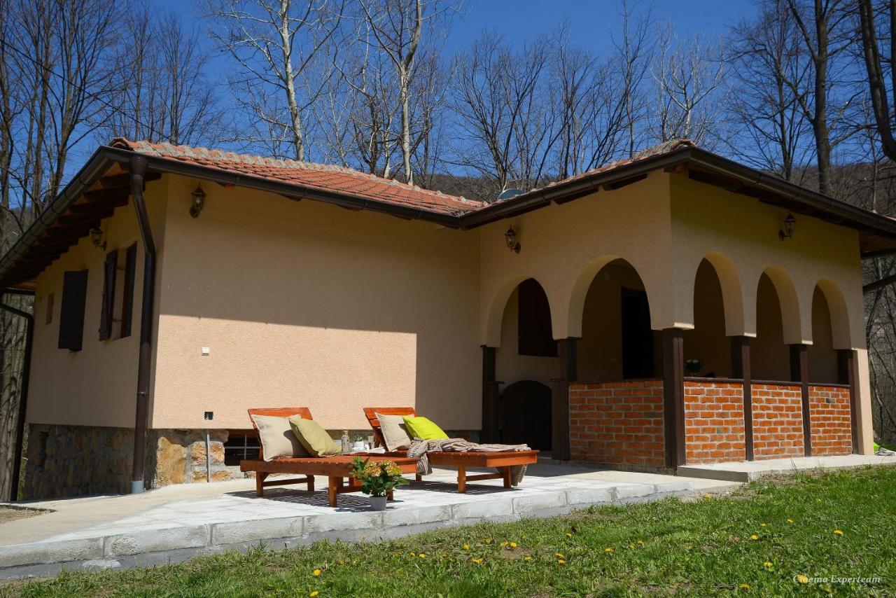 Lek Za Dusu Villa Despotovac Bagian luar foto