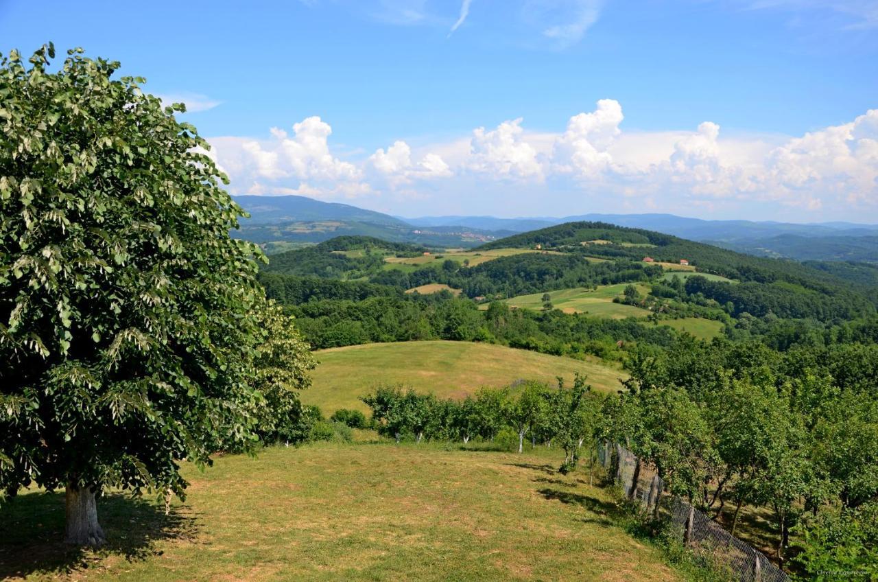 Lek Za Dusu Villa Despotovac Bagian luar foto