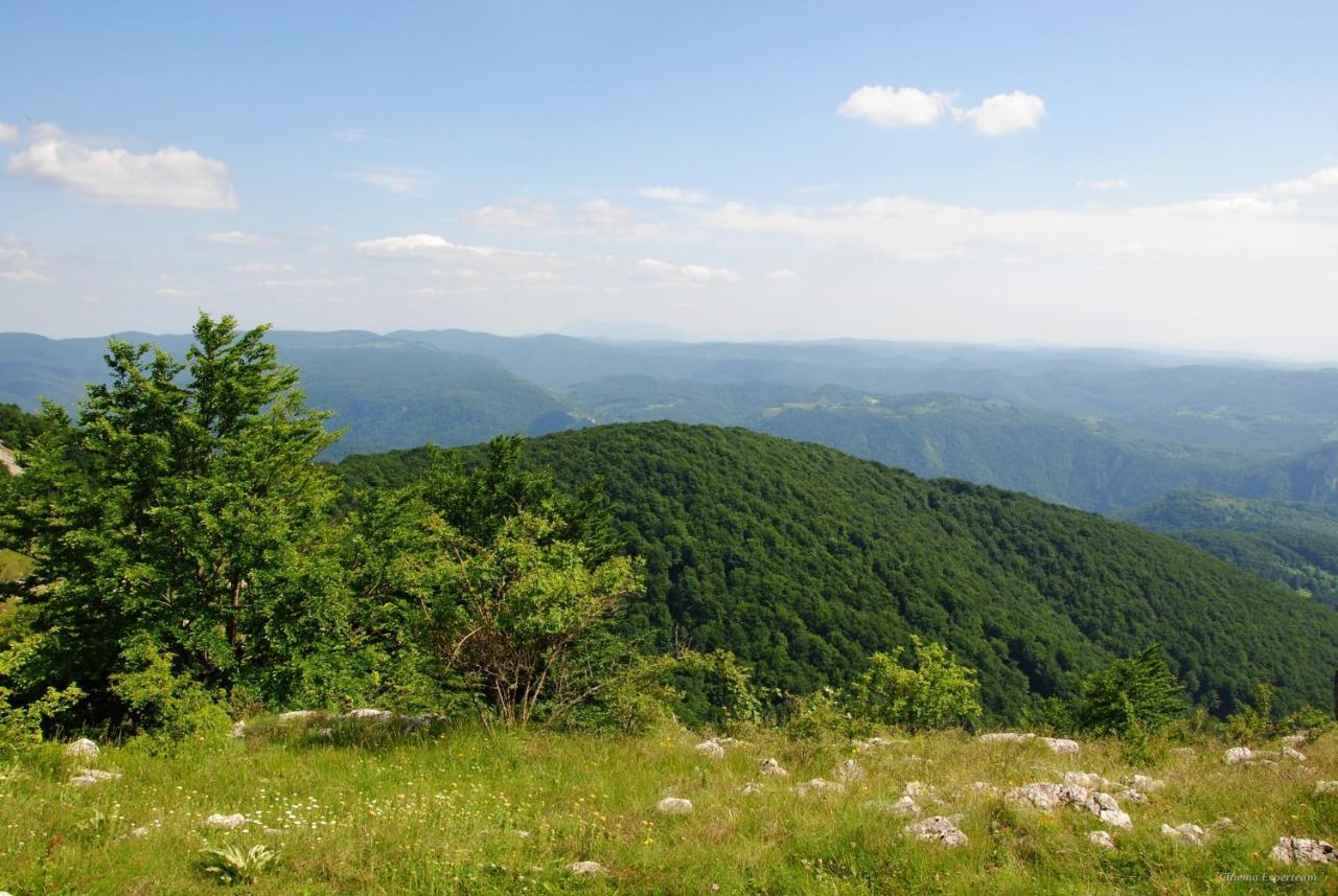 Lek Za Dusu Villa Despotovac Bagian luar foto