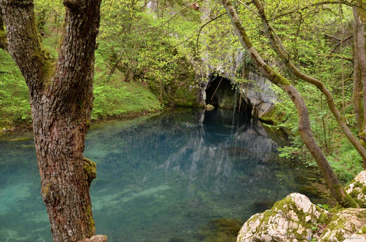 Lek Za Dusu Villa Despotovac Bagian luar foto